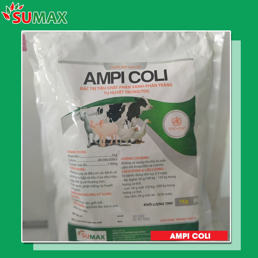 AMPI COLI