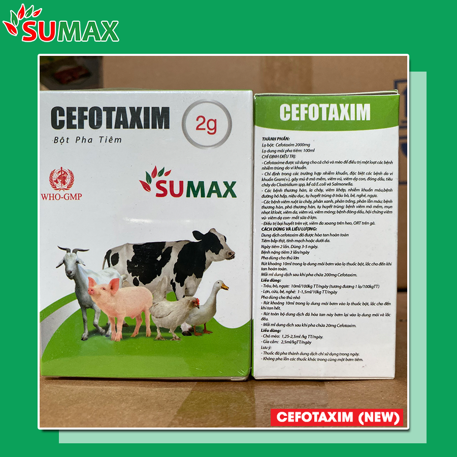 CEFOTAXIM (New) 