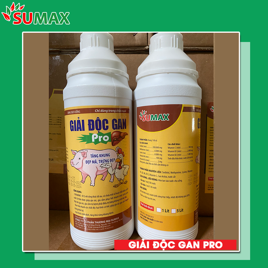 GIẢI ĐỘC GAN PRO