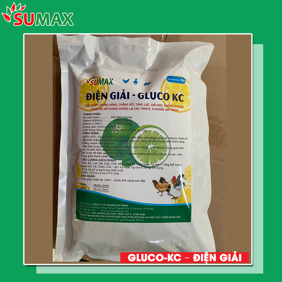 GLUCO-KC – ĐIỆN GIẢI