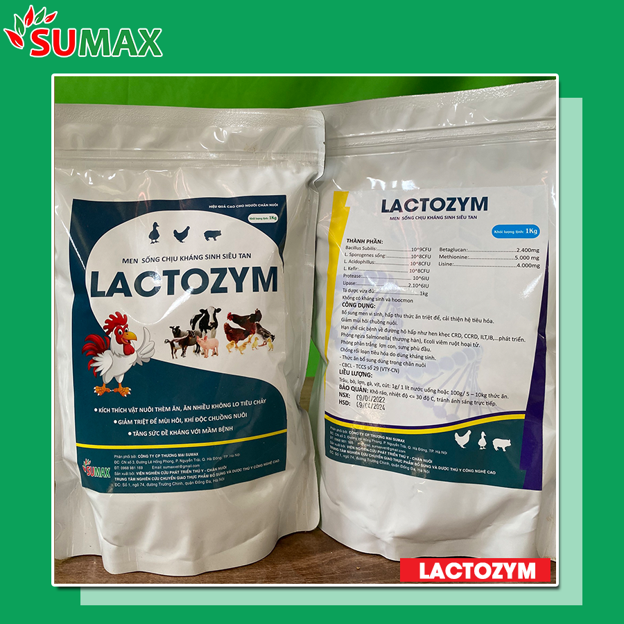 LACTOZYM