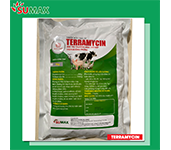 TERRAMYCIN