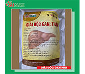 GIẢI ĐỘC GAN, THẬN