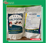 LACTOZYM