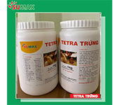 TETRA TRỨNG