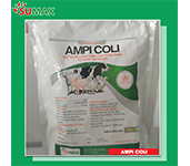 AMPI COLI