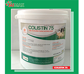 COLISTIN 75