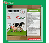 CEFOTAXIM (New)