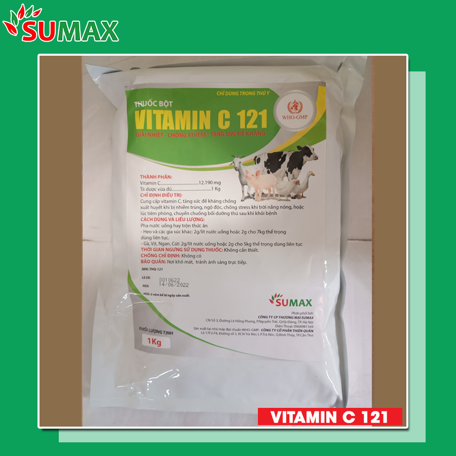 VITAMIN C 121