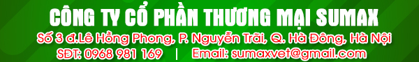 banner Sumax Thanh Hương