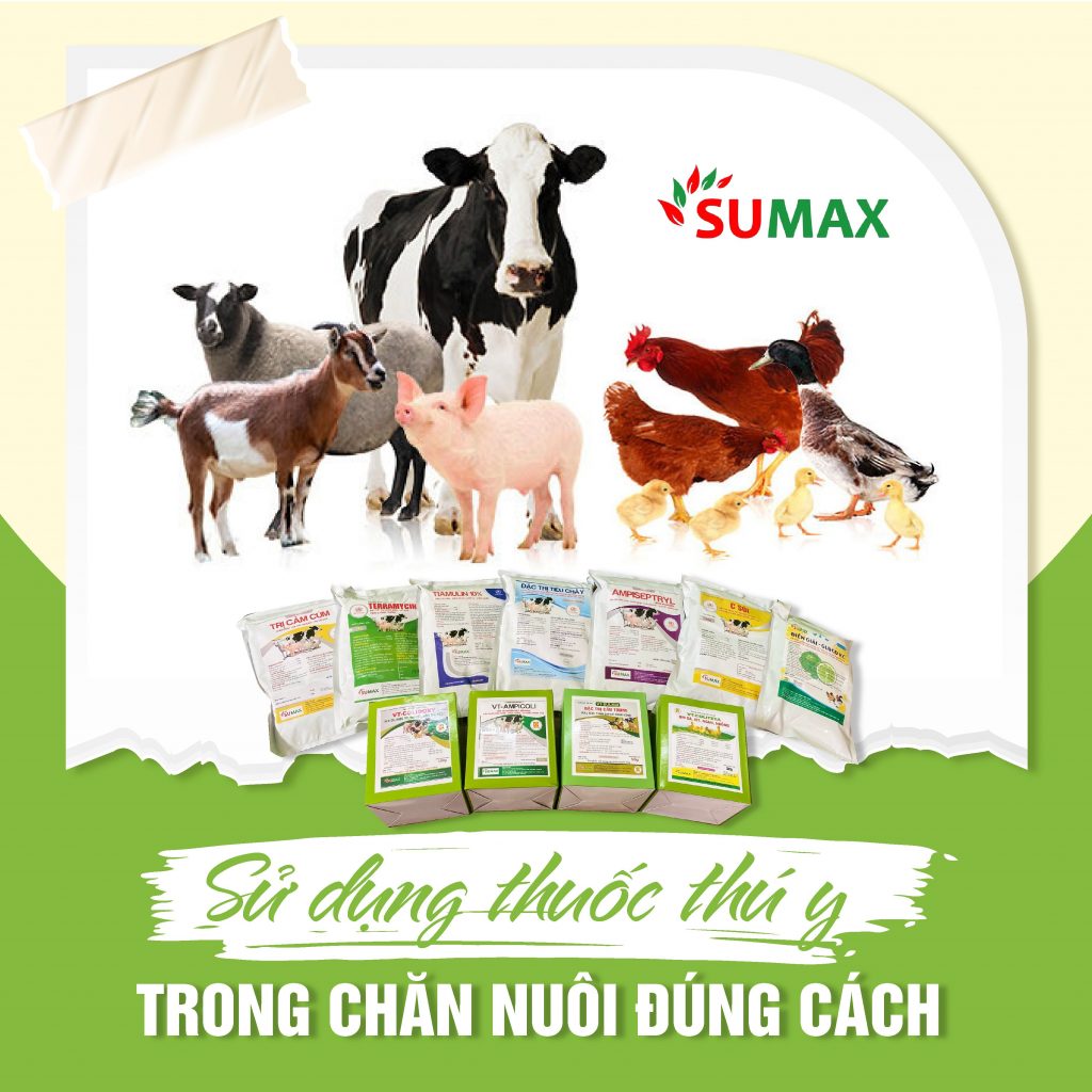 SỬ DỤNG THUỐC THÚ Y TRONG CHĂN NUÔI ĐÚNG CÁCH